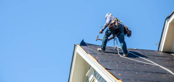 Roof Gutter Cleaning in New Freedom, PA